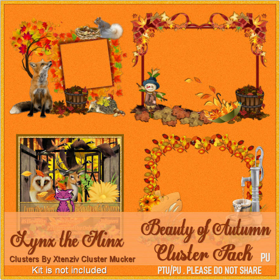 (image for) Beauty Of Autumn